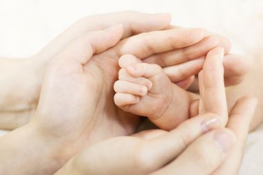 cpa estate planning st. paul - estate accountant st. paul